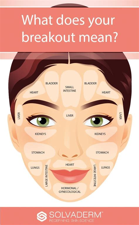 Knowing More About What Your Acne Is Trying To Tell You Face Mapping