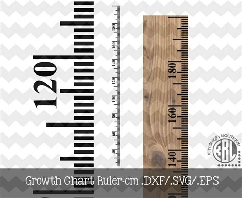 Growth Ruler Cm DXF SVG EPS File For Use With Your