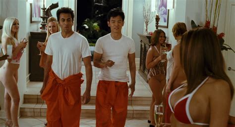 Free Nude Celebrity Vidcaps From Movie Harold Kumar Escape From