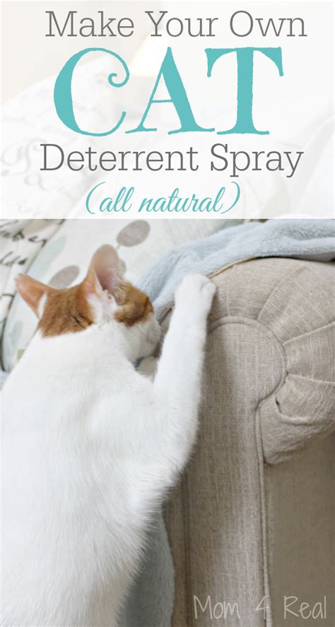 Next morning you will need to strain the liquid through a cheesecloth and then add half a cup of vinegar and a dozen drops of tangerine essential oil. DIY Dog Deterrent Spray - Helps Stop Indoor Accidents and ...