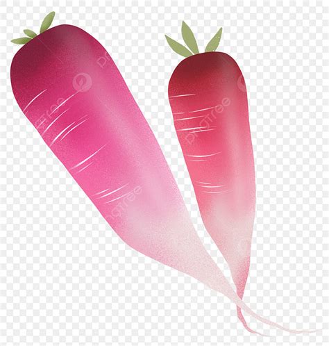 Red Radish Png Transparent Red Radish Decoration Illustration Red