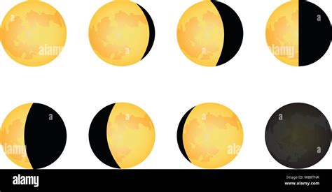 Phase Of Moon Illustration Simple Vector Graphic New Moon To Full