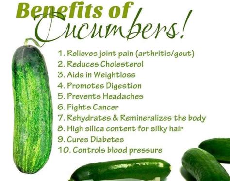 Amazing Health Benefits Of Cucumbers Diy Tag