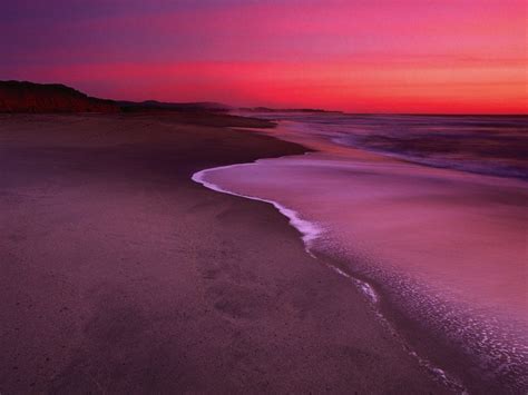 Dunes Beach Wallpaper High Definition High Quality Widescreen