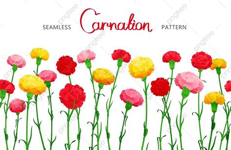 Seamless Horizontal Border Of Carnation Flowers Flyer Template Download