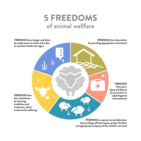 5 Freedoms Illustration Icons Infographics