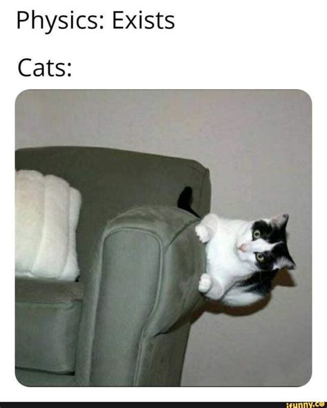 Physics Exists Cats Ifunny Funny Animal Memes Really Funny
