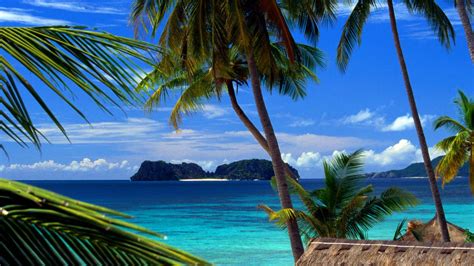 Cool Samoan Wallpapers Top Free Cool Samoan Backgrounds Wallpaperaccess