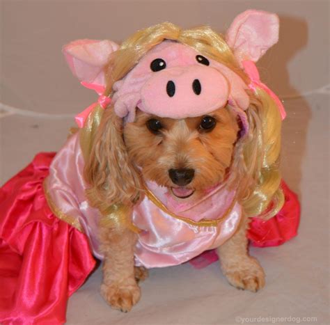 Miss Piggy From The Muppets Halloween Costumes For Dogs