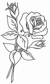 Coloring Flowers Rose Pages Flower Drawing Printable Patterns Easy Roses Designs Choose Board Burning Wood sketch template