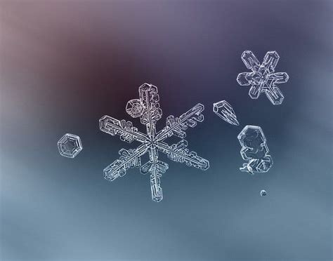 Macro Photos Of Snowflakes Reveal Impossibly Perfect Designs
