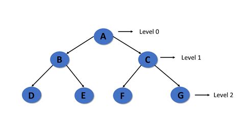 An Introduction To Tree In Data Structure