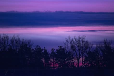 Free Images Landscape Forest Horizon Cloud Sunrise Sunset Mist