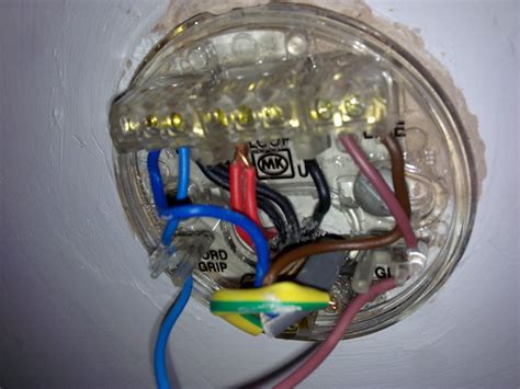 Huge selection of rose style lighting. Help Wiring on a ceiling rose - Page 1 - Homes, Gardens ...