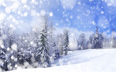 Winter Hd Wallpaper Background Image 2560x1600
