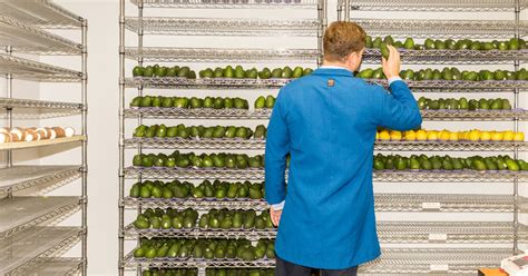 An Edible Solution To Extend Produces Shelf Life The New York Times