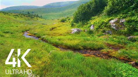 Apshynets River Carpathian Mountains Ukraine 4k4k Hdr Relax Video