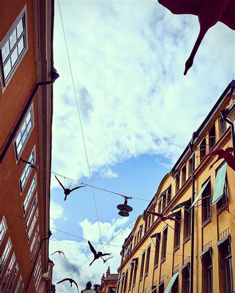 Marjaana 🇫🇮 On Instagram Fly Stockholm Love ️ Amazinglife