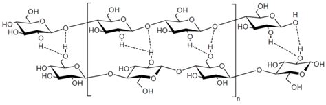 Interactions Of Amylose Top With Cellulose Bottom Download