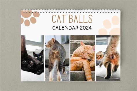 Cat Butthole Calendar X Inches Funny Calendar Cat Balls Calendar With Room For