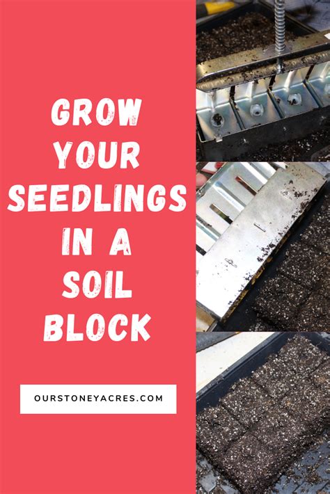 Using A Soil Block Maker To Start Your Seedlings Our Stoney Acres