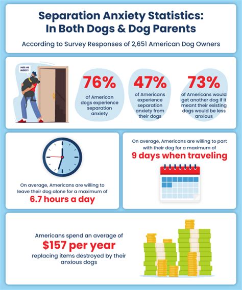 Separation Anxiety In Dogs And Dog Owners In 2021 Certapet