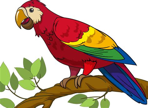 Get Clipart Images Of Parrot Imgpngmotive