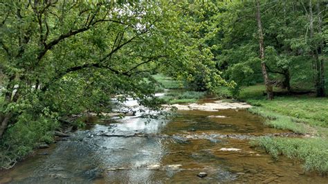 Free Images Landscape Tree Nature Forest Outdoor Creek