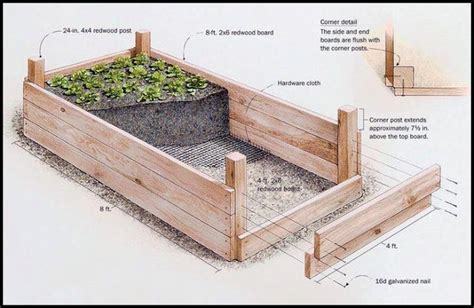 Professional Guide To Building Raised Garden Beds Building Raised