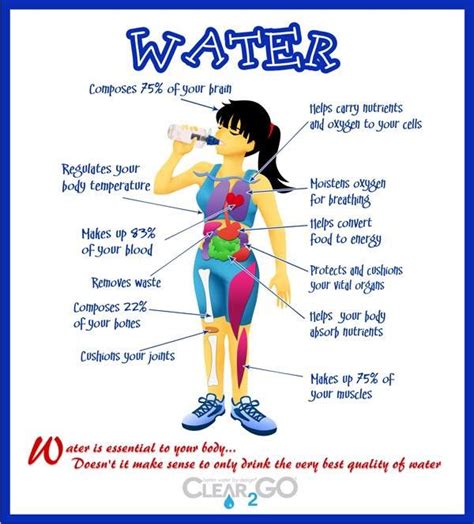 How To Stay Hydrated And Drink More Water Benefits Of Drinking Water