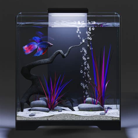 Aquarium With Siamese Fighting Fish 3d Model Cgtrader