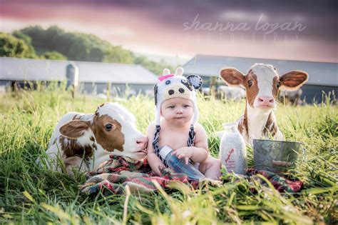 Shanna Logan Photography So Cute Cow Photos Baby Cows Baby Stuff