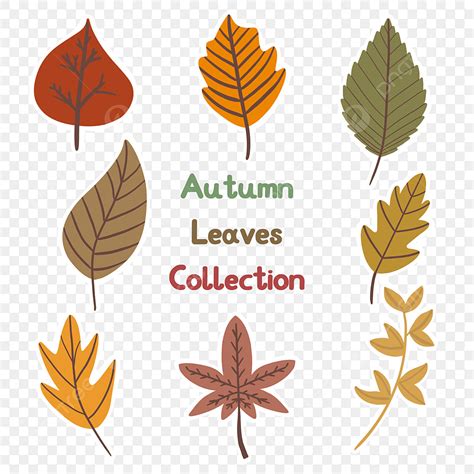 Printable Leaves Clipart Transparent Background Hand Drawn Autumn