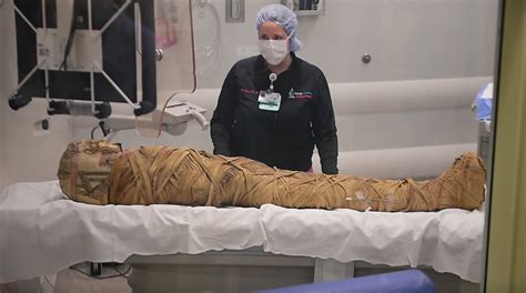 Ancient Mummy Gets Ct Scan After 2000 Years Is Diagnosed With Cancer