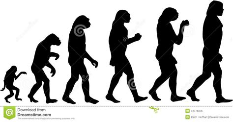 Clipart Evolution 20 Free Cliparts Download Images On Clipground 2022