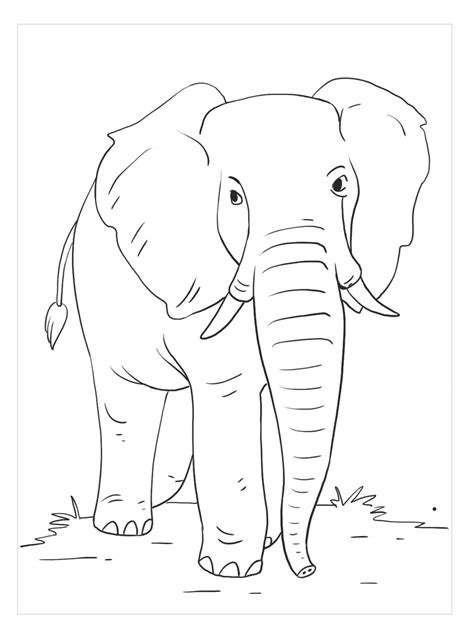 Elefante Andando Para Colorir Imprimir E Desenhar Colorirme Porn Sex Picture