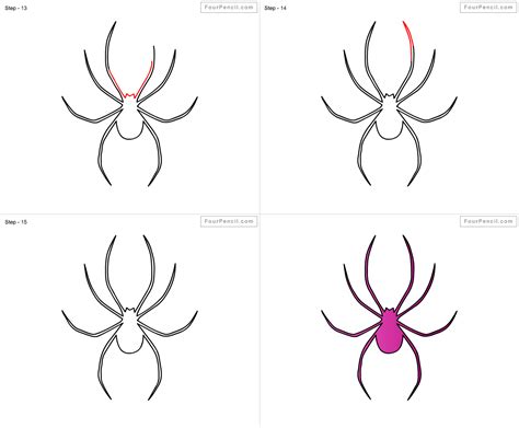 Spider Drawing Easy Step By Step Savanna Leak