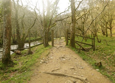 Theres A Road In The Woods Telegraph