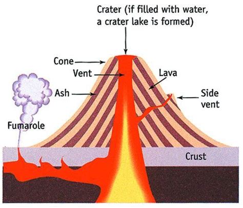 Diagram showing the scale of vei correlation with total ejecta volume. volcano layers and facts | Composite Volcano Diagram: | school | Pinterest | Volcano, Diagram ...