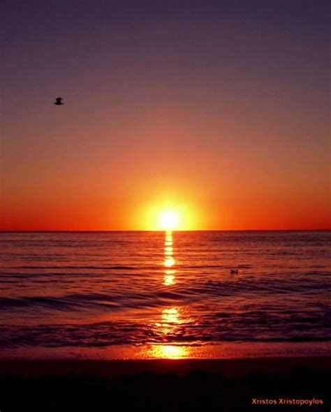 An Idyllic Sunset 🌇 On The Sea 🌊 With Flying Bird 🐦 👌 ☺ 💖 Sunset Birds Flying Beach Sunset
