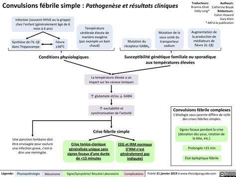 Convulsions Fébrile Simple Pathogenèse Et Résultats Cliniques Calgary Guide