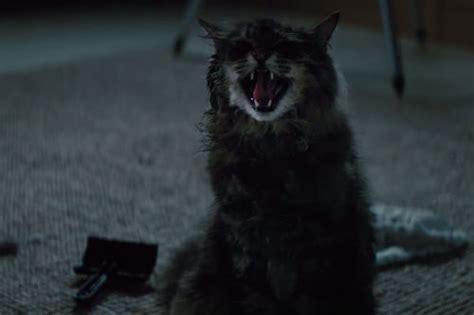 Check Out The Terrifying New Trailer For Pet Sematary