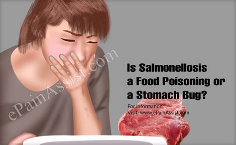 Check spelling or type a new query. Is Salmonellosis a Food Poisoning or a Stomach Bug ...