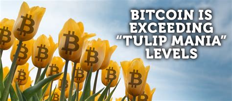 If there is a parallel to draw between the 2017 bitcoin boom and the 1637 tulip craze, it is that the vast. Why Bitcoin Exceeding "Tulip Mania" Levels Doesn't Matter