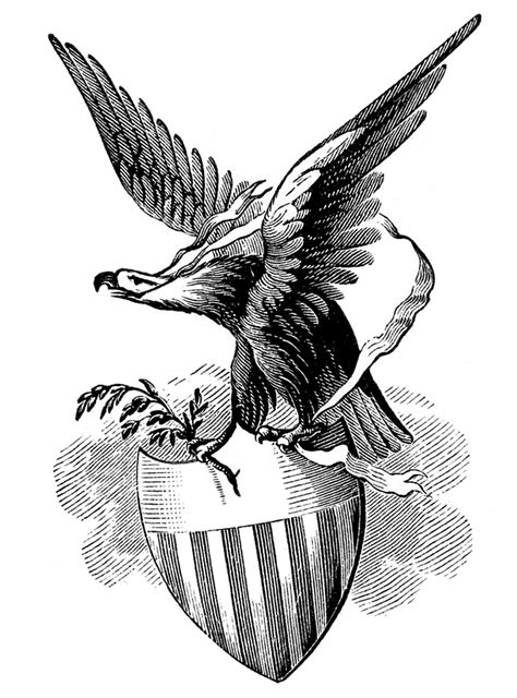 Vintage Patriotic Image Eagle With Shield The Graphics Fairy