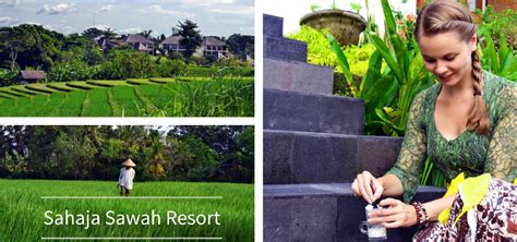 Sahaja Sawah Resort Bali Erfahrungsbericht Coconut Sports