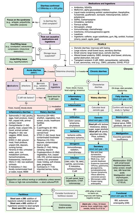 Approach To Diarrhea Differential Diagnosis And Workup Grepmed