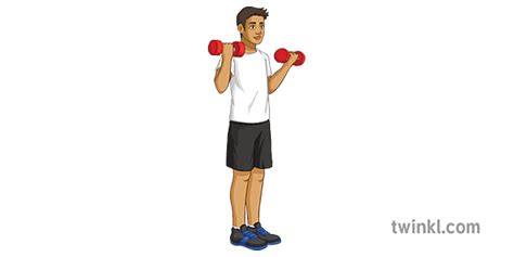Bicep Curl Step 2 Exercise Pe Secondary Illustration Twinkl