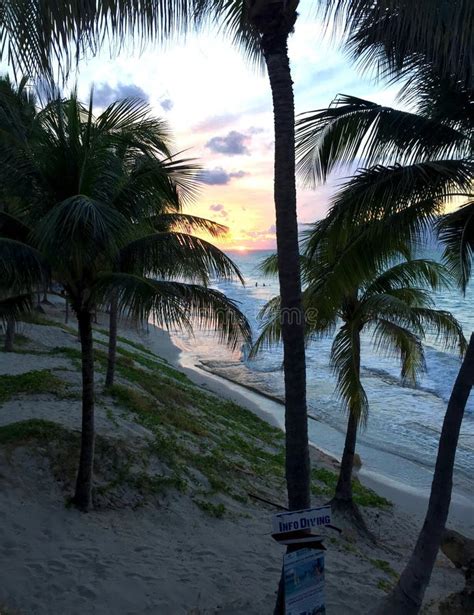 Beautiful Sunset On The Atlantic Coast Of Cuba View Of The Ocean
