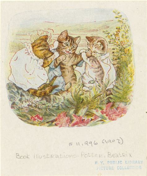 The Tale Of Tom Kitten Beatrix Potter Illustrations Peter Rabbit And